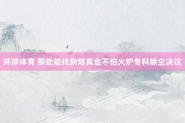 环球体育 那处能找到熔真金不怕火炉专科除尘决议