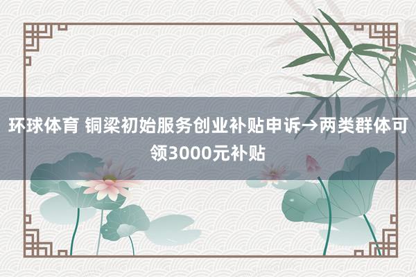 环球体育 铜梁初始服务创业补贴申诉→两类群体可领3000元补贴