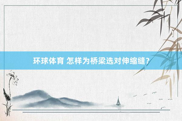 环球体育 怎样为桥梁选对伸缩缝？