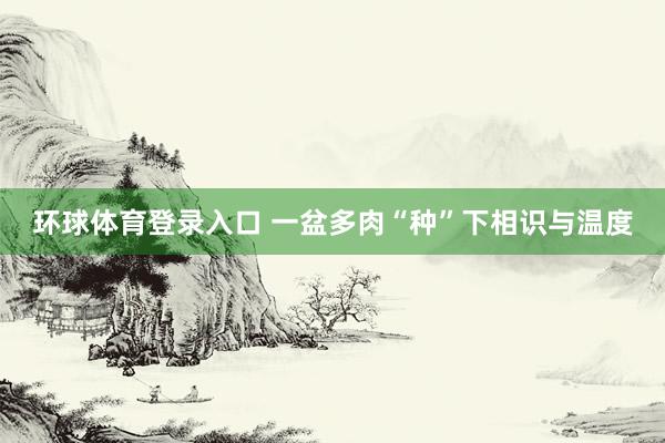 环球体育登录入口 一盆多肉“种”下相识与温度
