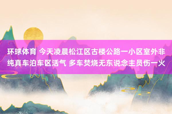 环球体育 今天凌晨松江区古楼公路一小区室外非纯真车泊车区活气 多车焚烧无东说念主员伤一火