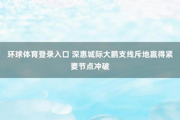 环球体育登录入口 深惠城际大鹏支线斥地赢得紧要节点冲破