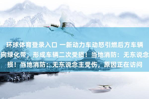 环球体育登录入口 一新动力车动怒引燃后方车辆，后车车主挪车诞妄冲向绿化带，形成车辆二次受损！当地消防：无东说念主受伤，原因正在访问
