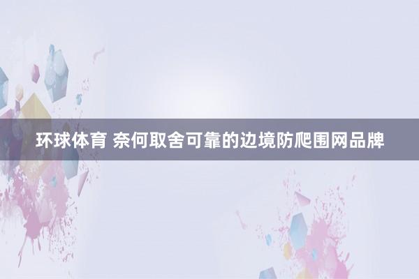 环球体育 奈何取舍可靠的边境防爬围网品牌