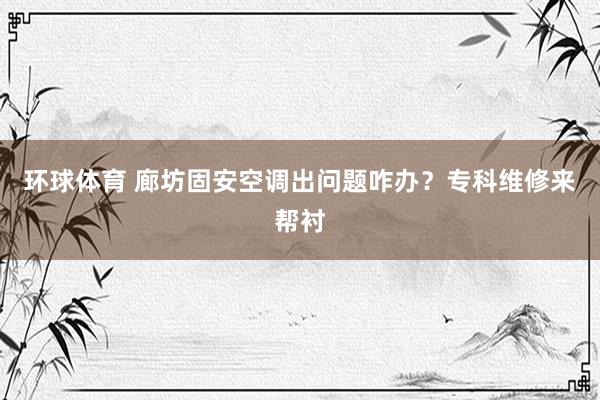 环球体育 廊坊固安空调出问题咋办？专科维修来帮衬