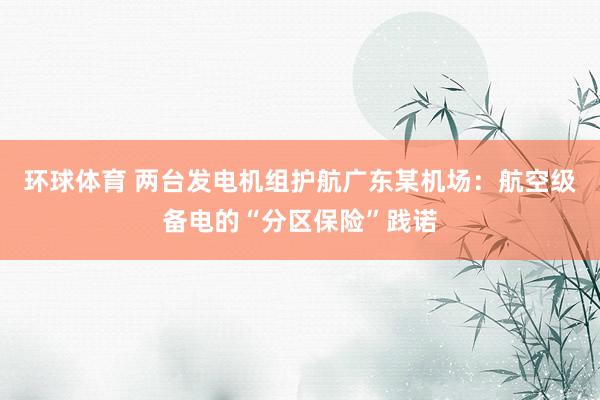 环球体育 两台发电机组护航广东某机场：航空级备电的“分区保险”践诺