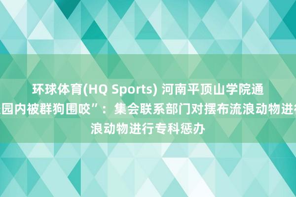 环球体育(HQ Sports) 河南平顶山学院通报“学生校园内被群狗围咬”：集会联系部门对摆布流浪动物进行专科惩办