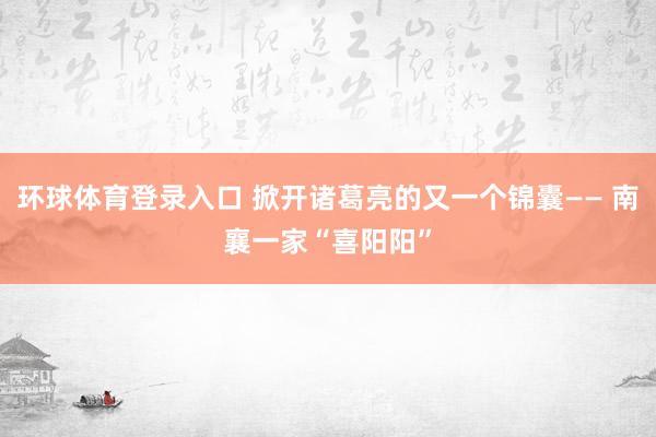 环球体育登录入口 掀开诸葛亮的又一个锦囊—— 南襄一家“喜阳阳”