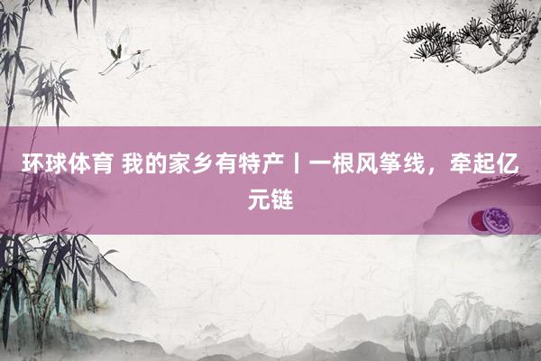 环球体育 我的家乡有特产丨一根风筝线，牵起亿元链