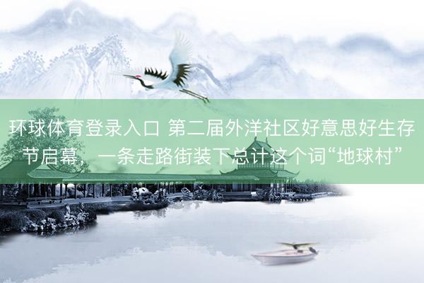 环球体育登录入口 第二届外洋社区好意思好生存节启幕，一条走路街装下总计这个词“地球村”