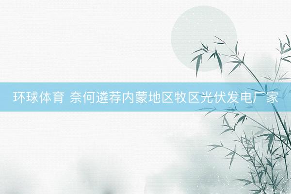 环球体育 奈何遴荐内蒙地区牧区光伏发电厂家